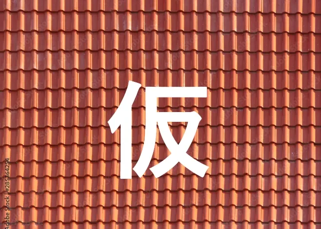 レビュー